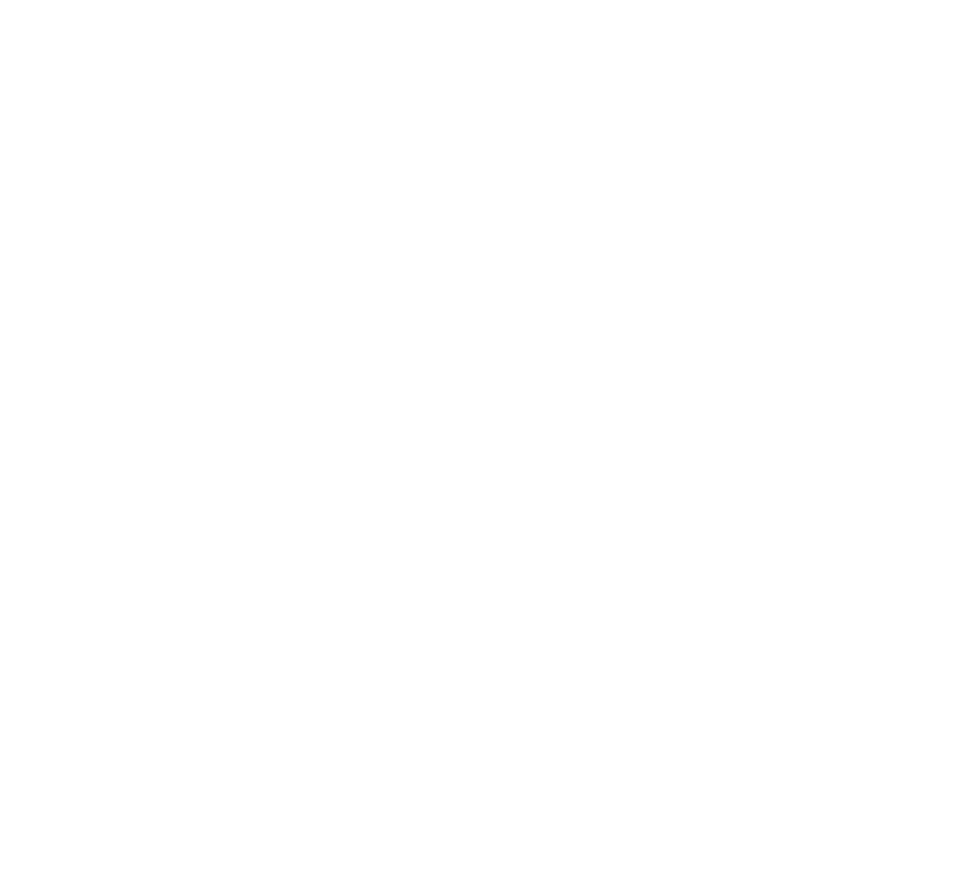 CARAVAN